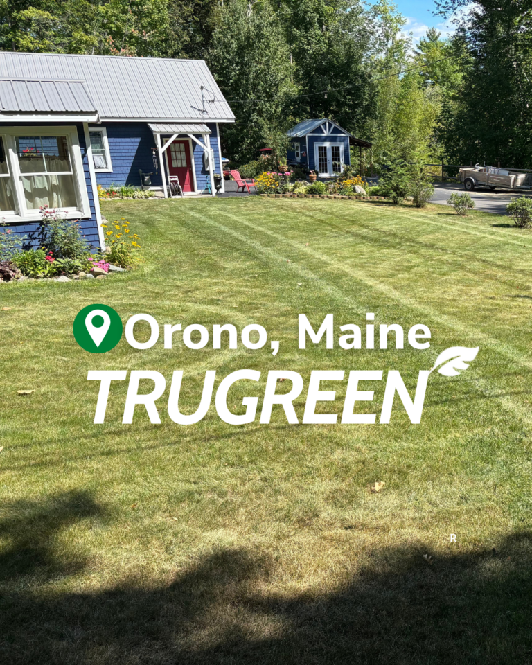 Orono Maine Lawn Care