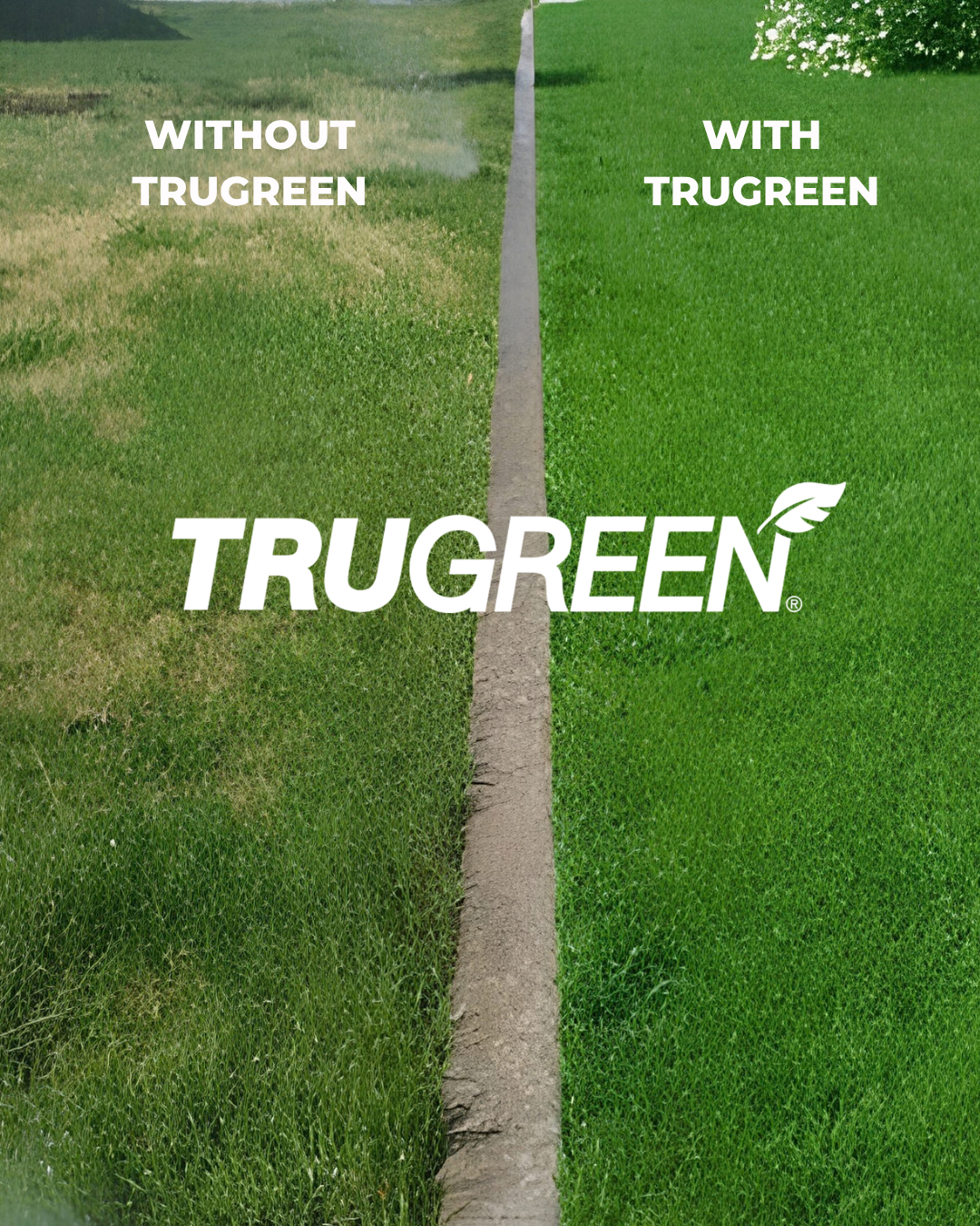 Trugreen (11)